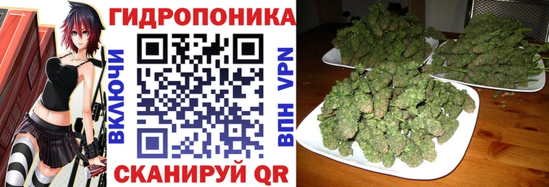 Галлюциногенные грибы Истра
