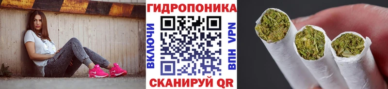МАРИХУАНА ГИДРОПОН  продажа наркотиков  Истра 